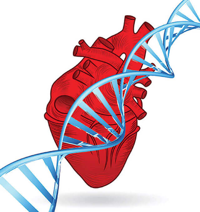 regular-exercise-can-beat-genetic-factors-for-heart-diseases