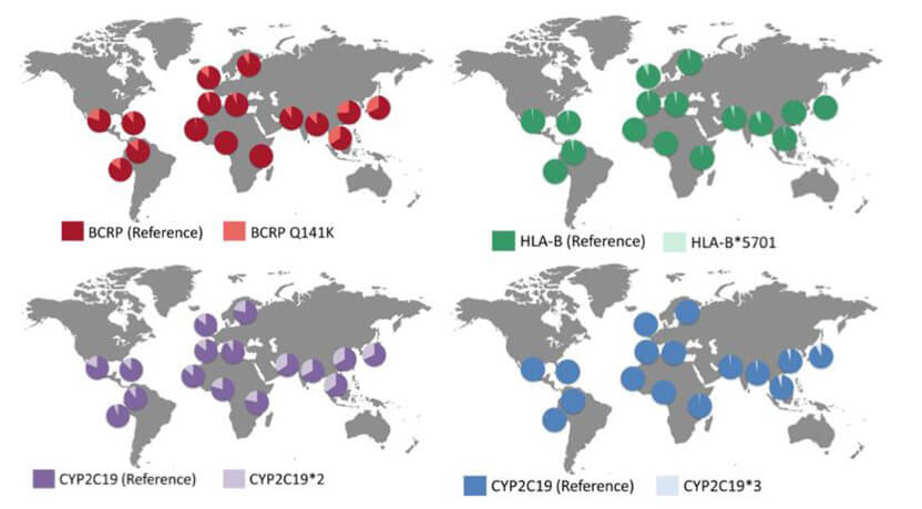 Allelic frequencies of some commonly selected polymorphisms affecting the drug ADME