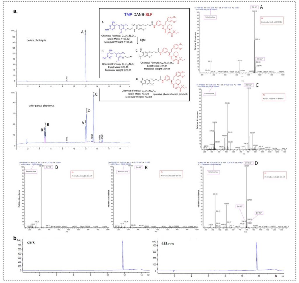 Photolysis of Zapalog in Solution