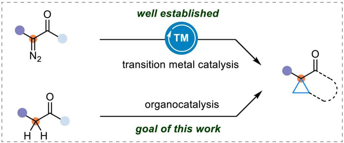 Common approach for cyclopropane synthesis and goal of this work