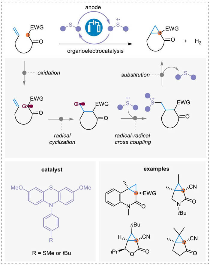 Electrocatalytic cyclopropanation of active methylene compounds