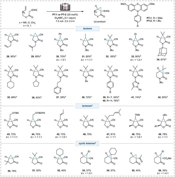 Substrate scope for cyclopropane-fused lactams, lactones, and cyclic ketones