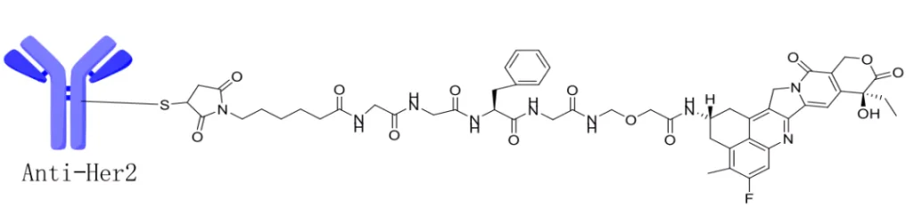 Figure 1. Enhertu