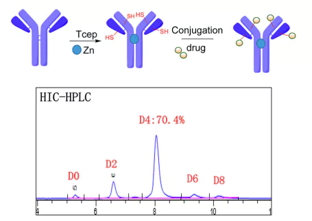 Figure 4: HIC-HPLC of WuXi DAR4 platform