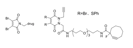 8b. bromo- or thiophenyl-substituted maleimide