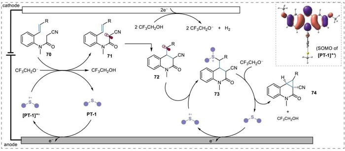 Mechanistic proposal