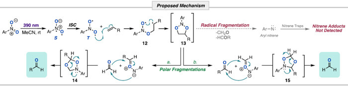 Proposed Mechanism