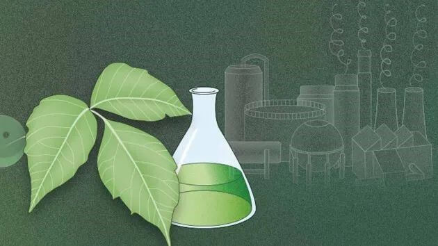 Green Chemistry Platform