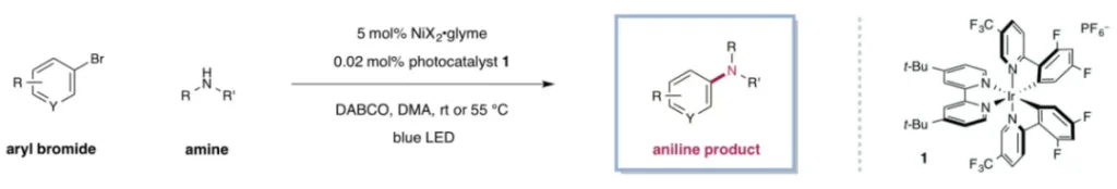 Metallaphotoredox-catalyzed amination amine and arene scope