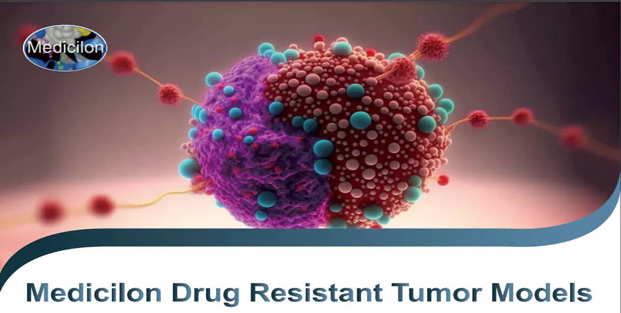 Medicilon Drug Resistant Tumor Models