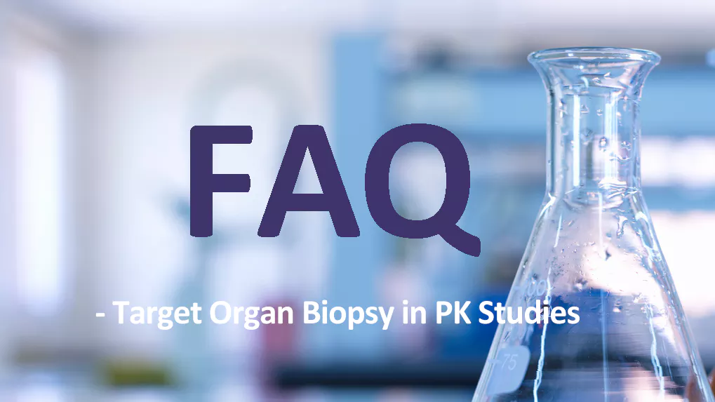 Target Organ Biopsy in PK Studies