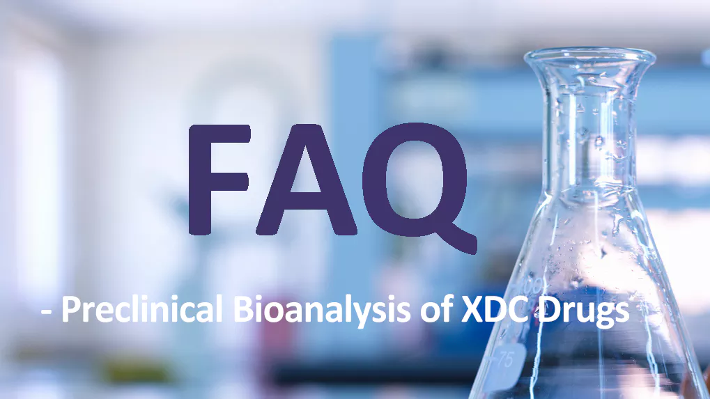 Preclinical Bioanalysis of XDC Drugs