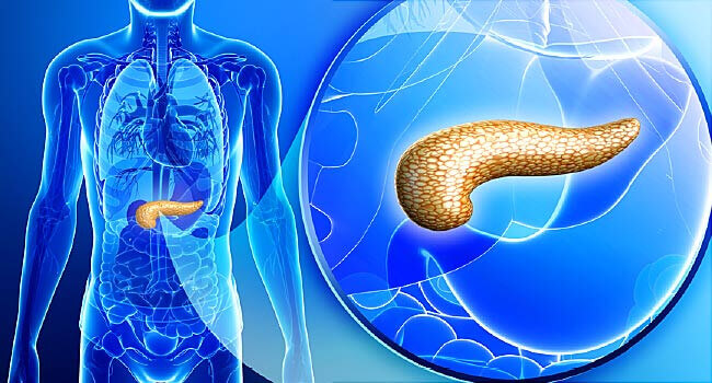 Gene Duplication Explains Tumor Aggressiveness