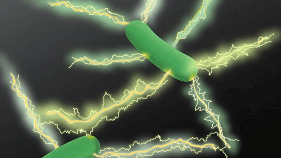 Microbial Nanowires for Green Electronics