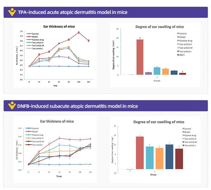 TPA-induced acute atopic dermatitis model in mice.jpg