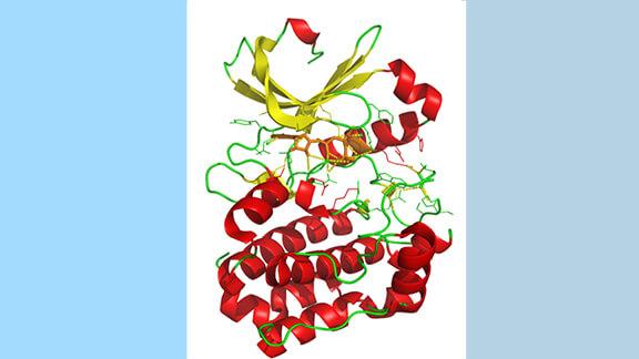 Popular varieties of domestic new diabetes drugs research and market