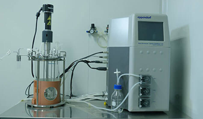 Application of Yeast Expression System