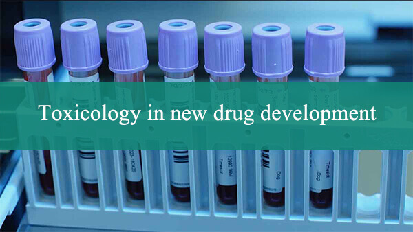 Toxicology-in-new-drug-development.jpg