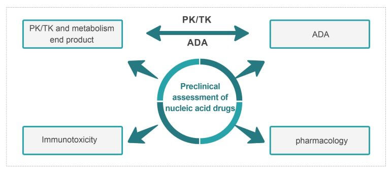 Medicilon nucleic acid drug R&D platform