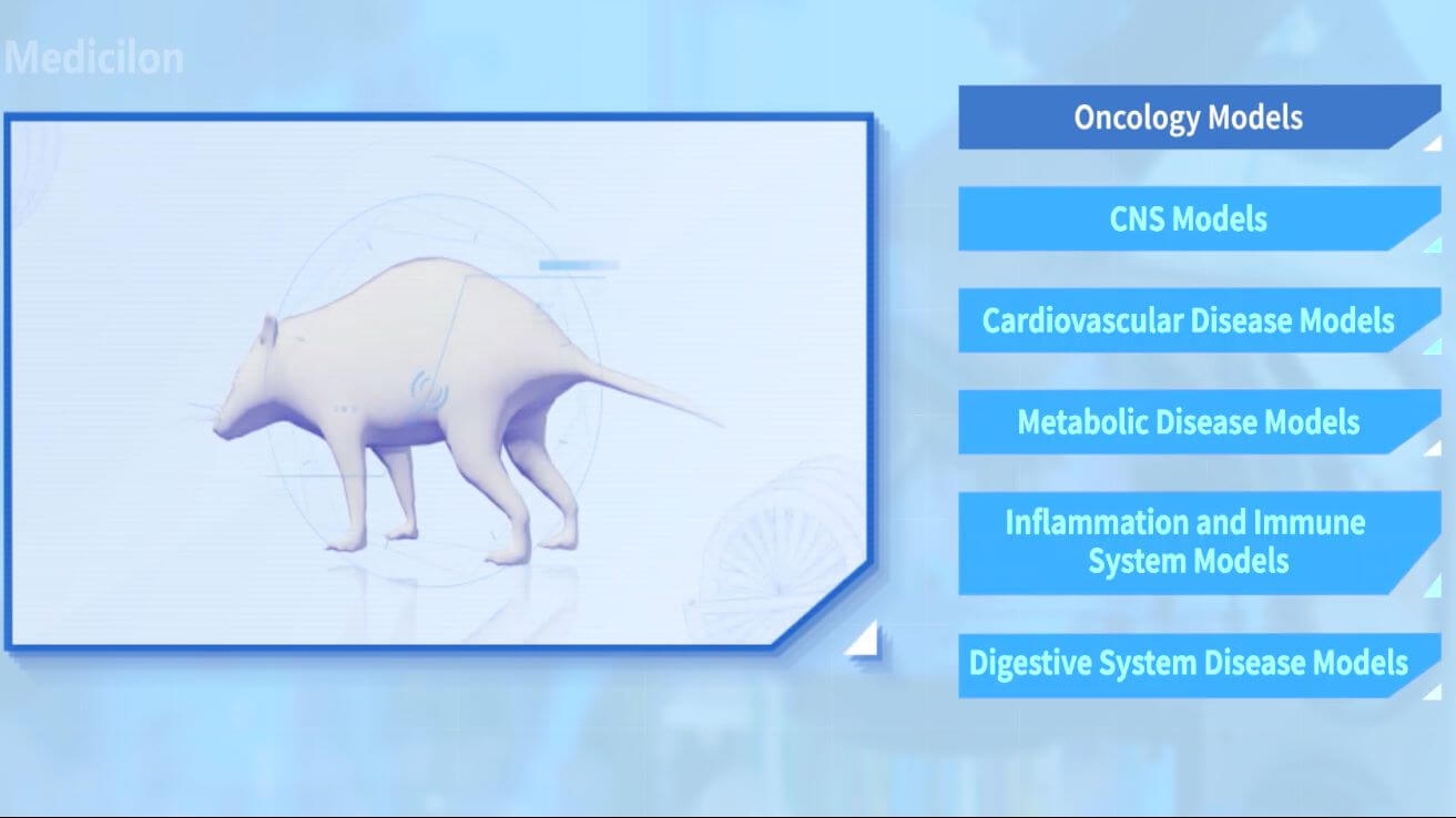 Neural System Disease Models.webp