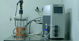 Bioreactor