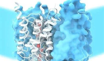 structural biology.webp