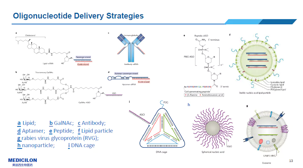 Delivery Systems for Nucleic Acid Drugs.webp