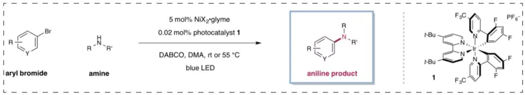 5-Metallaphotoredox-catalyzed-amination-amine-and-arene-scope.webp