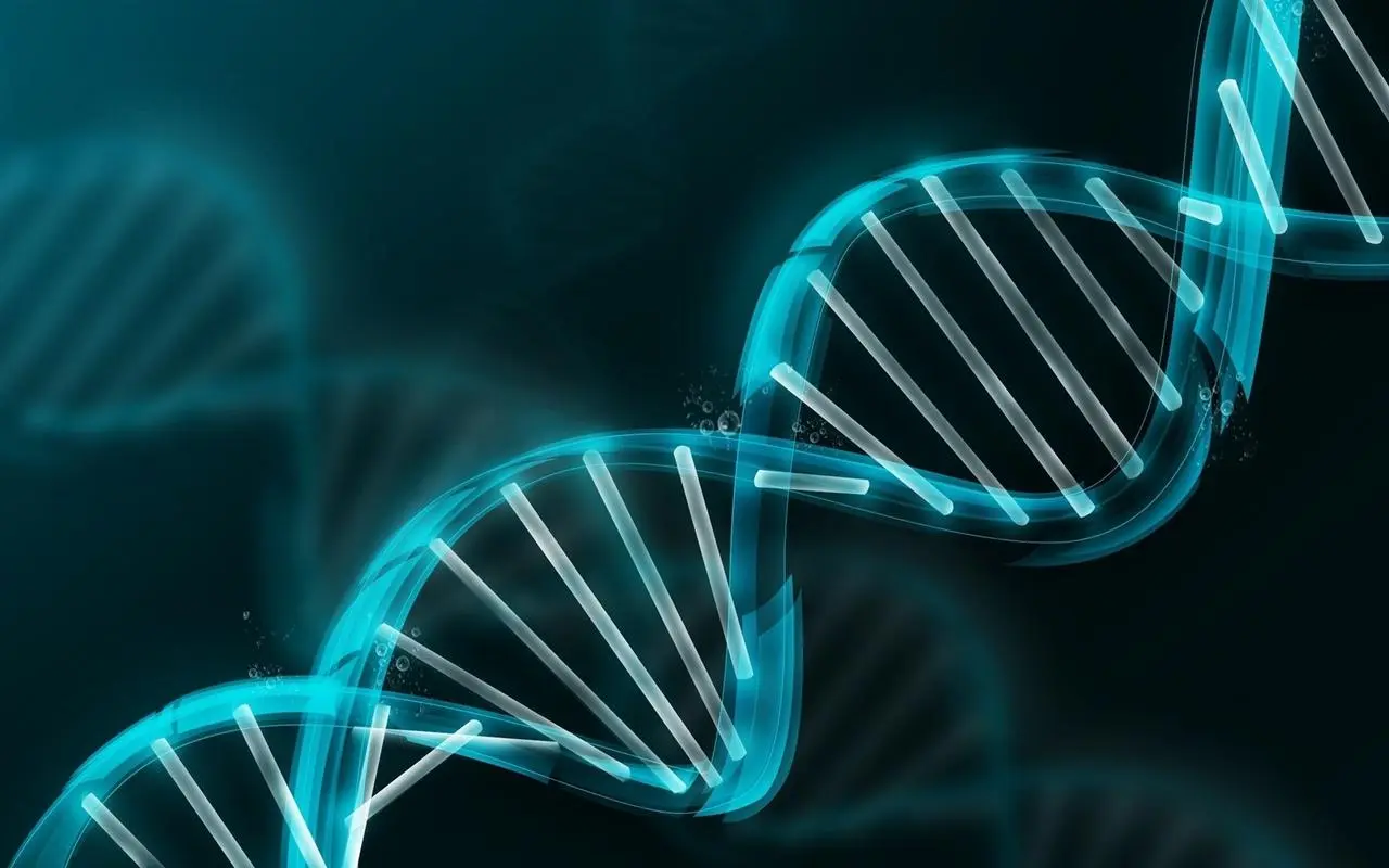 Scientists Predict Academic Achievement from DNA Alone