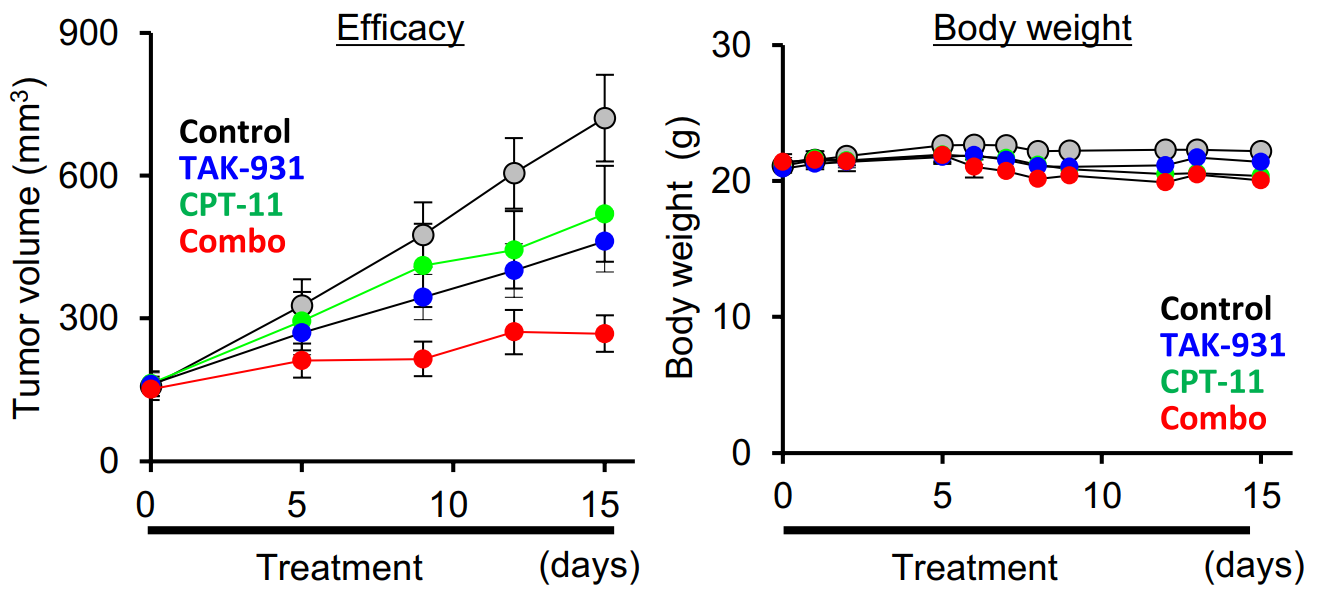 Researchers developed a highly specific CDC7 inhibitor TAK-931 as a clinical cancer therapeutic agent. The antitumor efficacy studies were performed at Medicilon