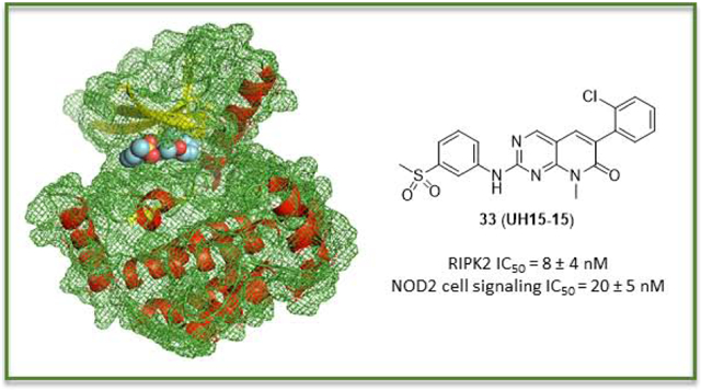 RIPK2 is an enzyme involved in numerous chronic inflammatory conditions. UH15-15 inhibits RIPK2 kinase and demonstrates favorable in vitro ADME and PK properties. The PK study was conducted by Medicilon