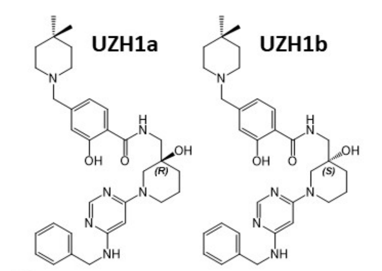 Researchers report a nanomolar inhibitor of METTL3 (UZH1a) which is selective and cell‐permeable