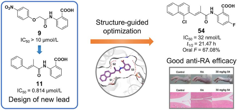 A series of DHODH inhibitors as potential rheumatoid arthritis (RA) treatment agents are designed and synthesized. The PK study was conducted by Medicilon