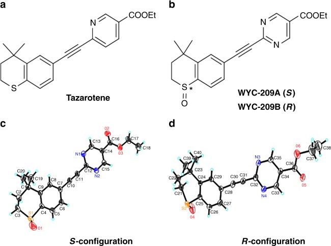 WYC-209 inhibits proliferation of malignant murine melanoma tumor-repopulating cells. SPR analysis was carried out by Medicilon, using the Biacore 8K equipment