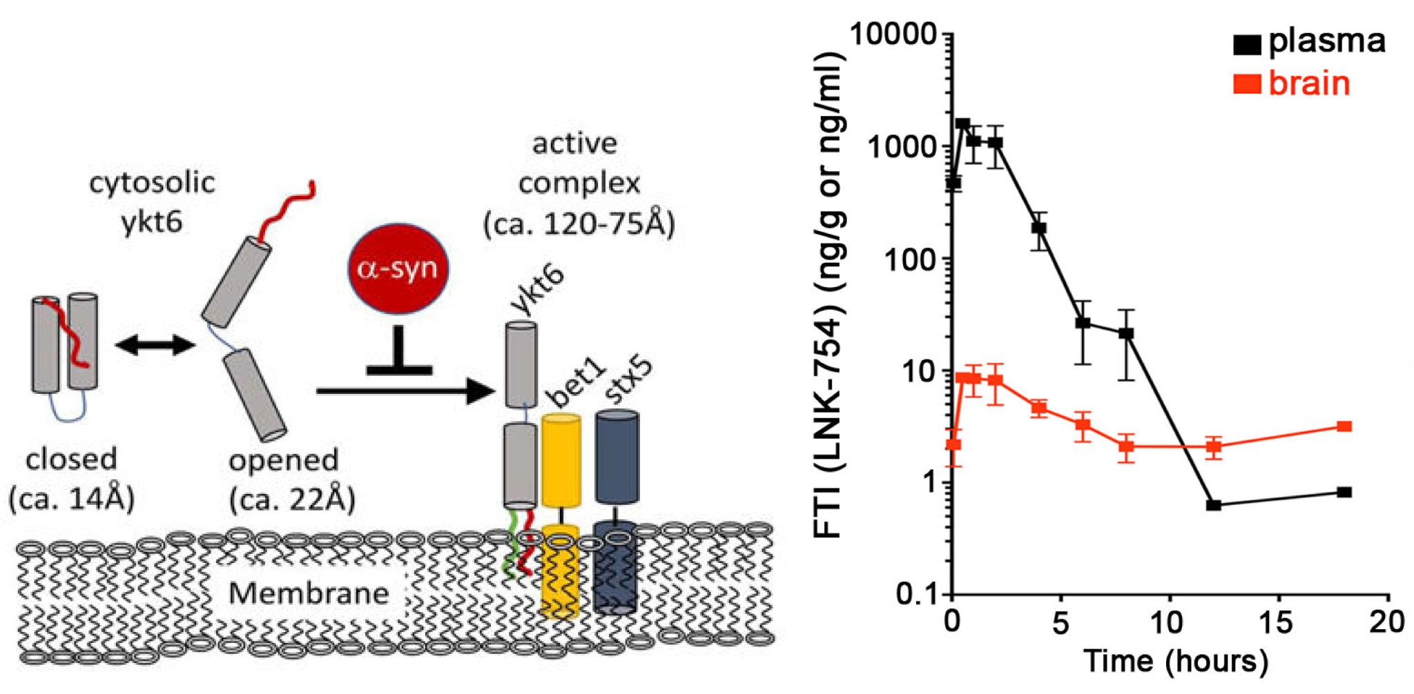 Farnesyltransferase inhibitor LNK-754 could rapidly cross the blood-brain-barrier after a single oral dose. Pharmacokinetic analysis was performed by Medicilon