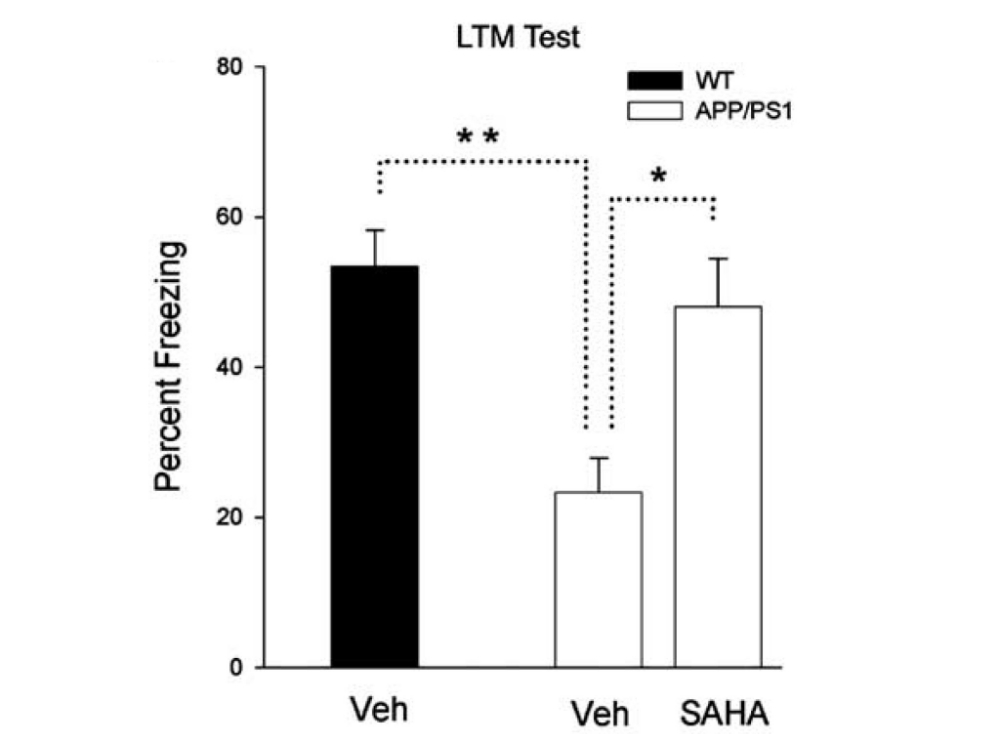 SAHA was effective in restoring memory performance in this Alzheimer's disease model. SAHA was synthesized by Medicilon in this study