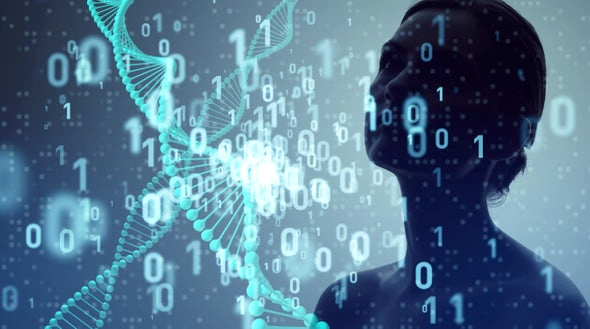 Transcriptional Activation Mechanisms Revealed by Computer Simulations