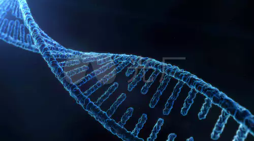 Sequence and Epigenetic Factors Determine Overall DNA Structure