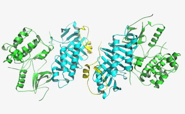 Broken Down Proteins vs Truncated Proteoforms