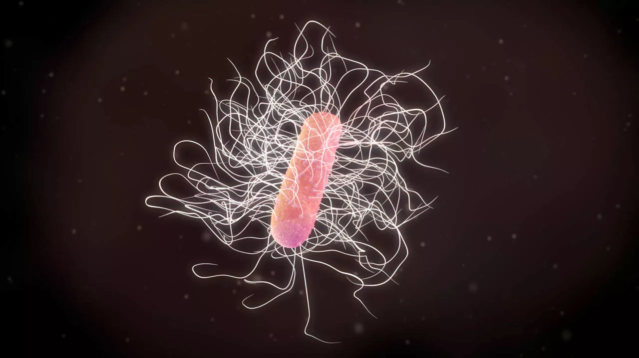 Designing Drugs to Combat Dangerous C difficile Infections