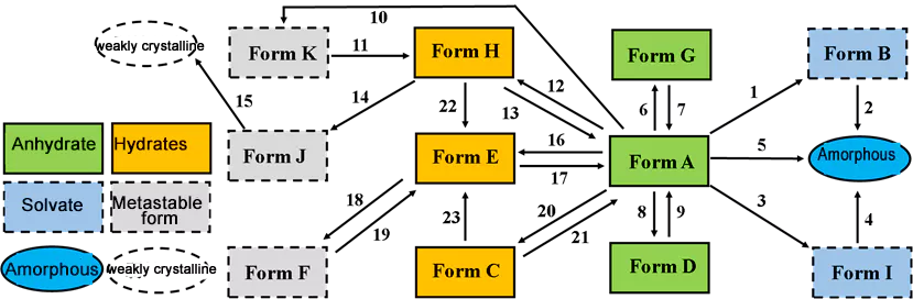 02 Case Study - Crystal Form Screening.webp