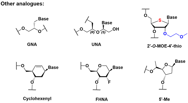 Sugar modifications-3.webp