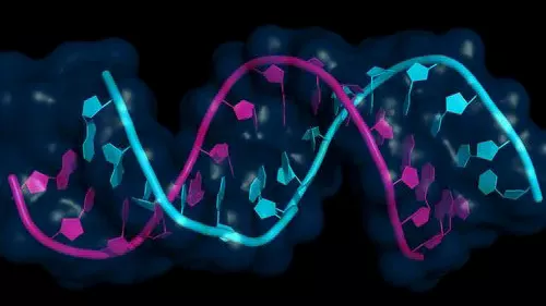 RNA Gets Large-Scale Structural Analysis and Annotation Tool