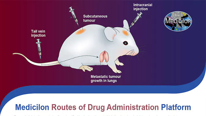 Routes of Drug Administration Platform.webp