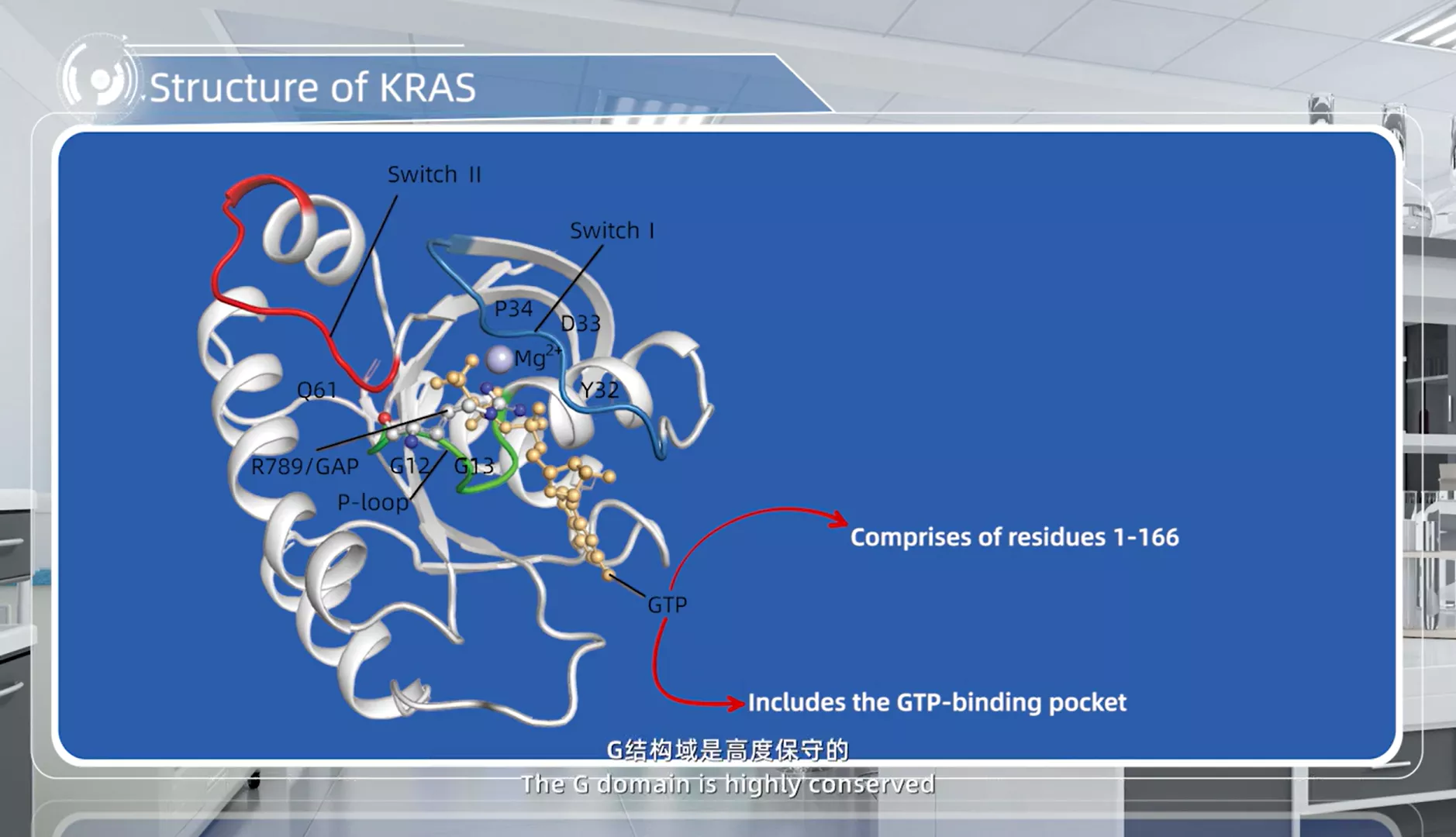 Structure of KRAS.webp