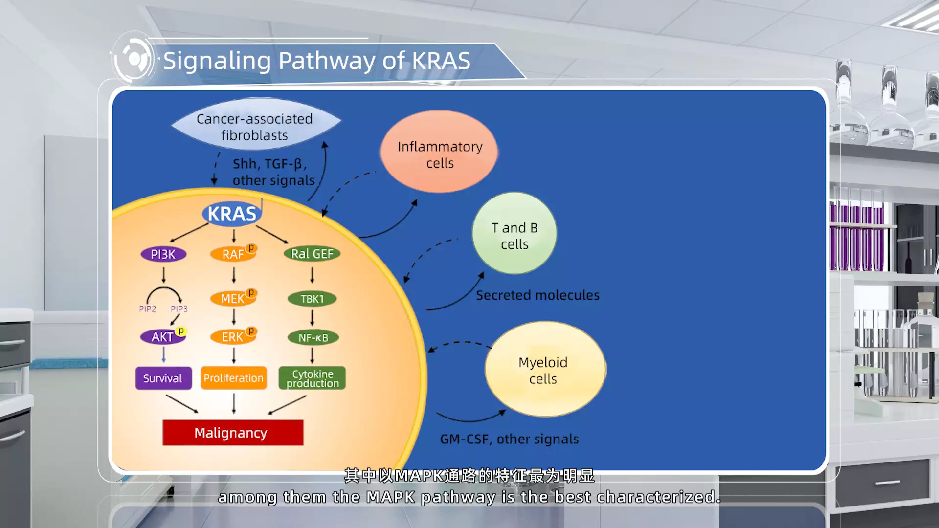 Signaling Pathway of KRAS