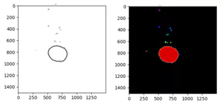 Pattern Shifts in Size and Viability of Long-term Exposed 3D HepG2 Cultures.webp