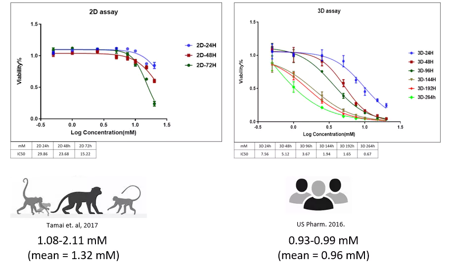 Long-term repetitive exposure in 3D cultured HepG2 spheroids accurately mirrors the in vivo scenario.webp