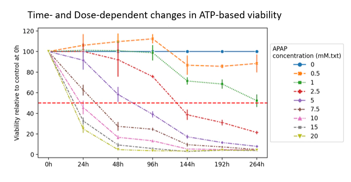 Pattern Shifts in Size and Viability of Long-term Exposed 3D HepG2 Cultures.webp