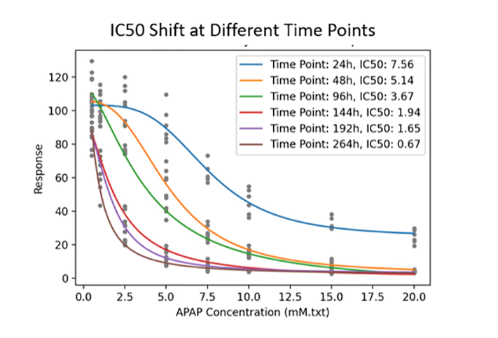 Pattern Shifts in Size and Viability of Long-term Exposed 3D HepG2 Cultures.webp